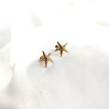 Boucles d’oreilles étoile de mer en plaqué or – Garantie 10 ans